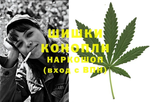 каннабис Белокуриха