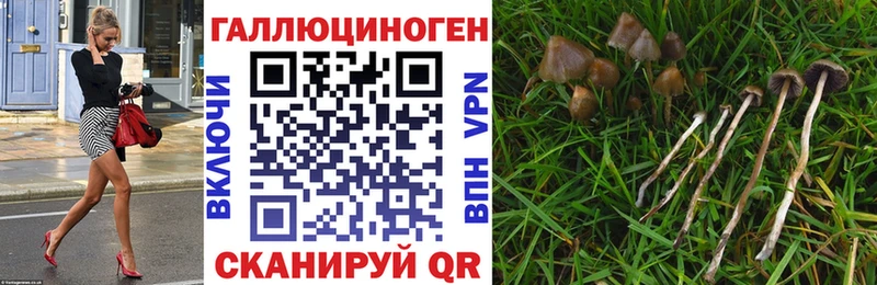 мориарти официальный сайт  закладка  Высоковск  Галлюциногенные грибы MAGIC MUSHROOMS 